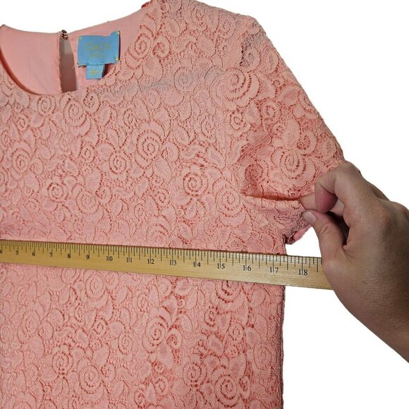 CeCe By Cynthia Steffe Pink Lace Dress Lined Short Sleeve NO Pockets Size 6 - Picture 8 of 10